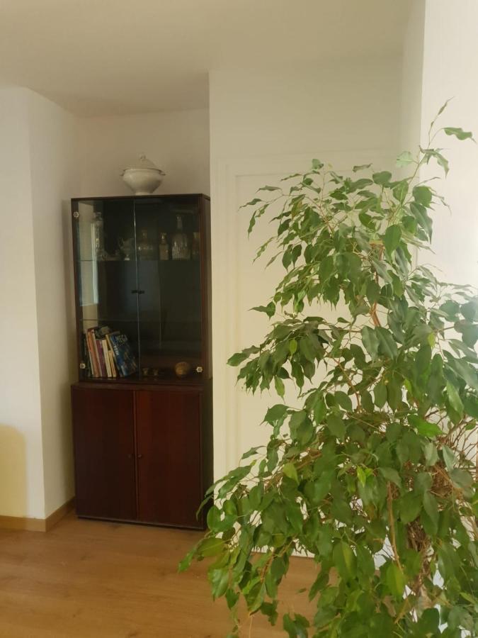 Appartement Cosy Parc Thermal 托农莱班 外观 照片
